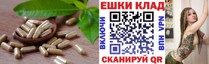 наркота  Урай  Ecstasy XTC 