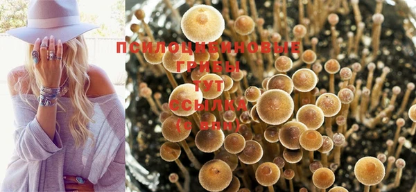 мефедрон мука Алексеевка