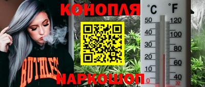 крисы Кумертау