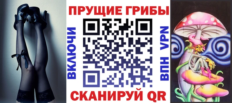 хочу наркоту  Урай  Галлюциногенные грибы Cubensis 